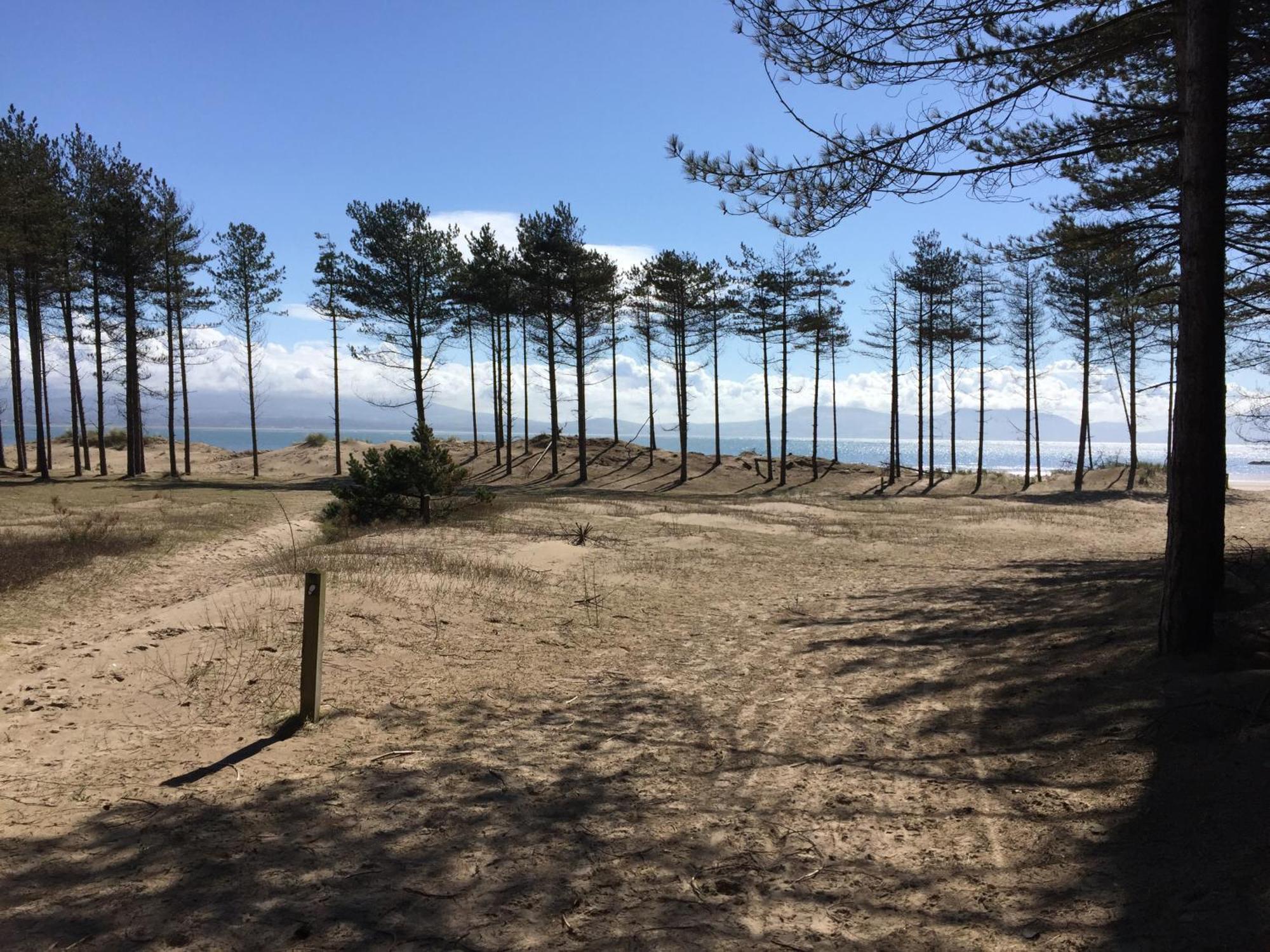 Llanw Malltraeth - Malltraeth Tides Llangadwaladr  외부 사진